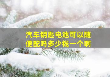 汽车钥匙电池可以随便配吗多少钱一个啊