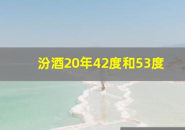 汾酒20年42度和53度