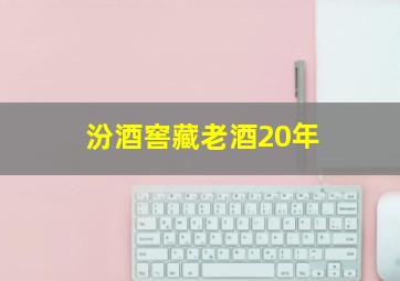 汾酒窖藏老酒20年