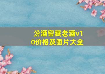 汾酒窖藏老酒v10价格及图片大全