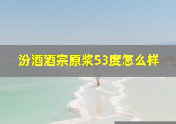 汾酒酒宗原浆53度怎么样