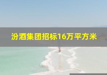 汾酒集团招标16万平方米