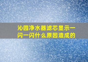 沁园净水器滤芯显示一闪一闪什么原因造成的