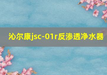 沁尔康jsc-01r反渗透净水器