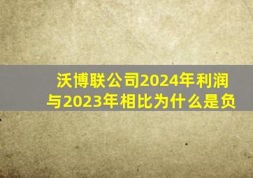 沃博联公司2024年利润与2023年相比为什么是负