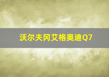 沃尔夫冈艾格奥迪Q7