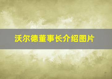 沃尔德董事长介绍图片