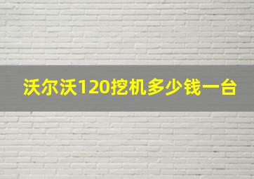 沃尔沃120挖机多少钱一台