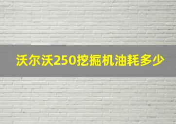 沃尔沃250挖掘机油耗多少