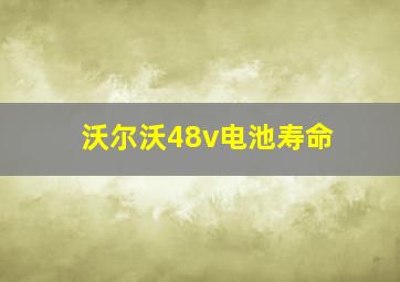 沃尔沃48v电池寿命