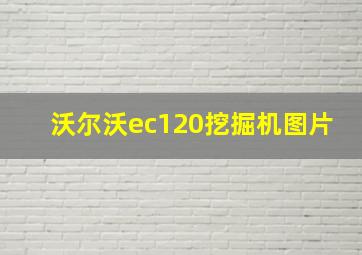 沃尔沃ec120挖掘机图片