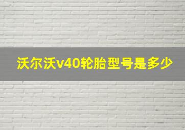 沃尔沃v40轮胎型号是多少