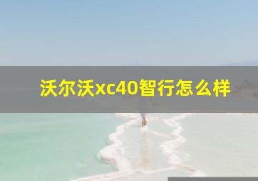 沃尔沃xc40智行怎么样