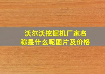 沃尔沃挖掘机厂家名称是什么呢图片及价格