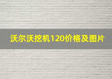 沃尔沃挖机120价格及图片