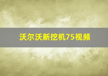 沃尔沃新挖机75视频