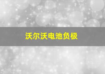 沃尔沃电池负极