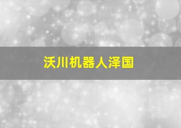 沃川机器人泽国