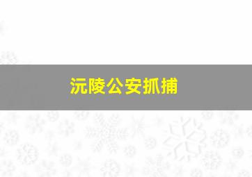 沅陵公安抓捕