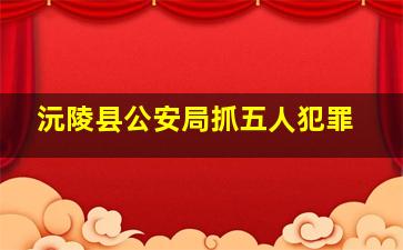 沅陵县公安局抓五人犯罪