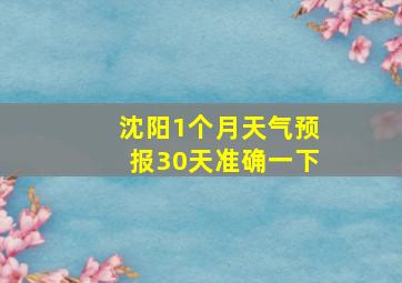 沈阳1个月天气预报30天准确一下