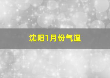 沈阳1月份气温