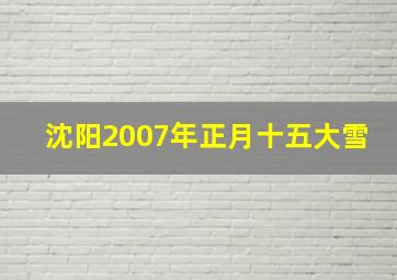 沈阳2007年正月十五大雪