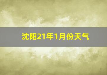 沈阳21年1月份天气