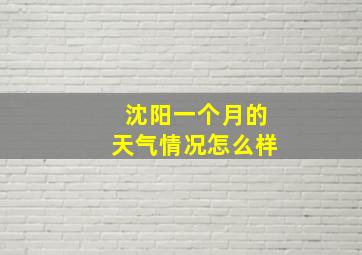 沈阳一个月的天气情况怎么样