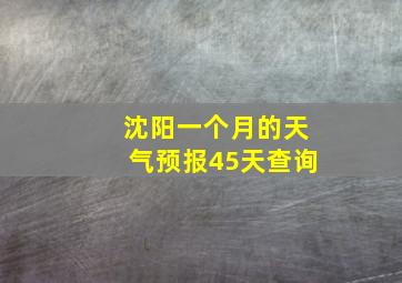 沈阳一个月的天气预报45天查询