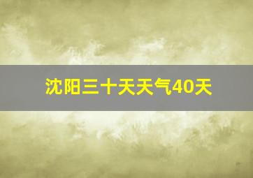 沈阳三十天天气40天