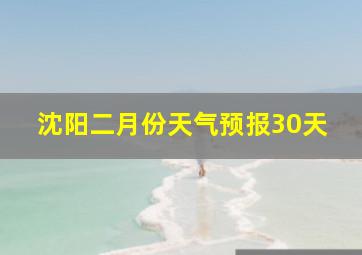 沈阳二月份天气预报30天