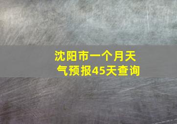 沈阳市一个月天气预报45天查询