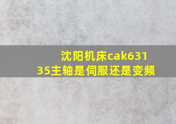 沈阳机床cak63135主轴是伺服还是变频