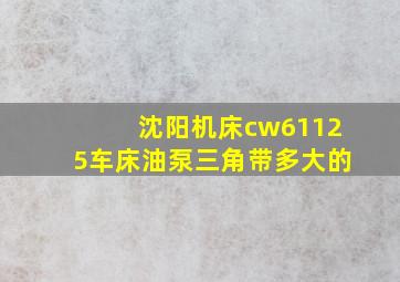 沈阳机床cw61125车床油泵三角带多大的