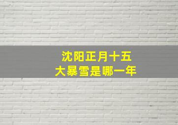 沈阳正月十五大暴雪是哪一年