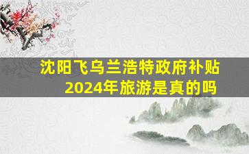 沈阳飞乌兰浩特政府补贴2024年旅游是真的吗