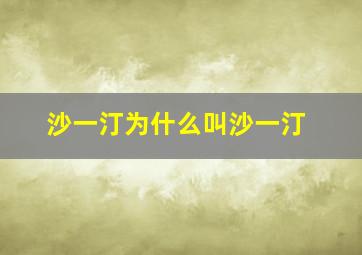 沙一汀为什么叫沙一汀