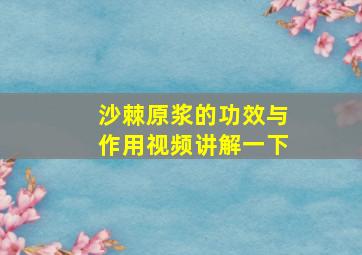 沙棘原浆的功效与作用视频讲解一下