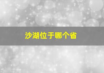 沙湖位于哪个省