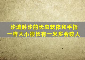 沙滩卧沙的长虫软体和手指一样大小很长有一米多会咬人