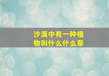 沙漠中有一种植物叫什么什么草