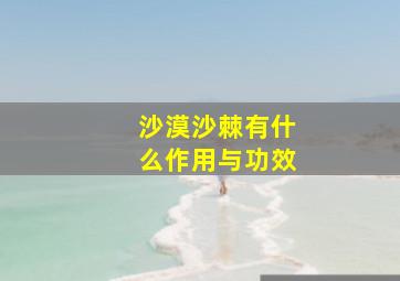 沙漠沙棘有什么作用与功效