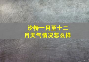 沙特一月至十二月天气情况怎么样