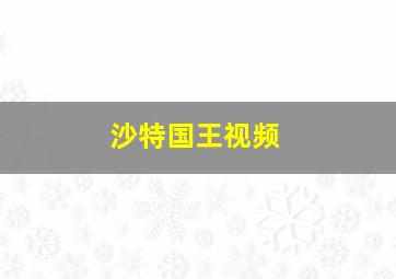 沙特国王视频