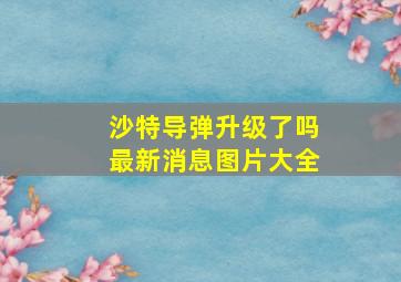 沙特导弹升级了吗最新消息图片大全