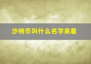 沙特币叫什么名字来着