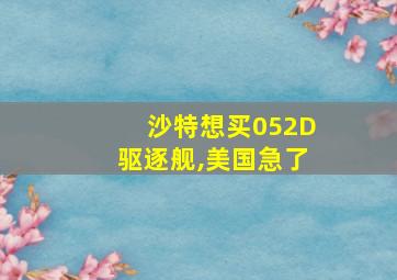 沙特想买052D驱逐舰,美国急了