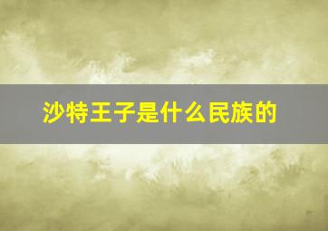 沙特王子是什么民族的