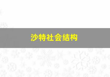 沙特社会结构